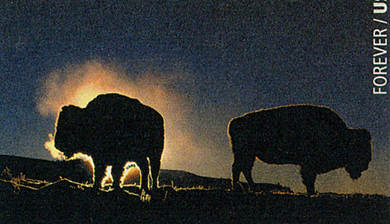 Yellowstone Becomes First National Park 