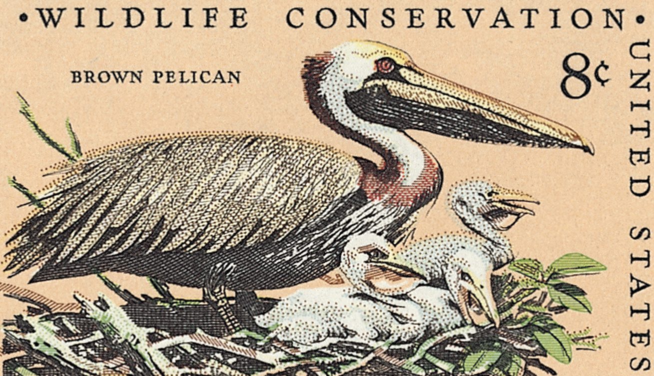 Pelican Island