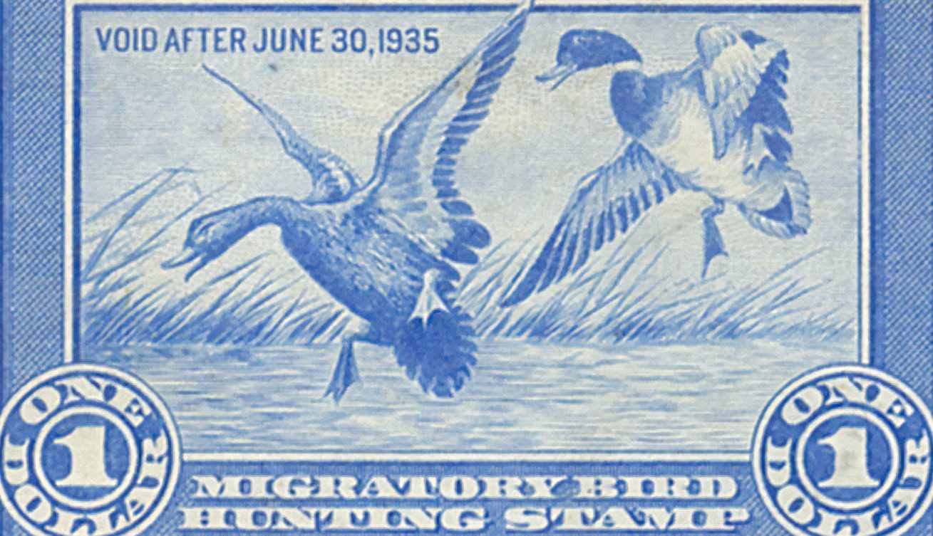 Duck Stamps