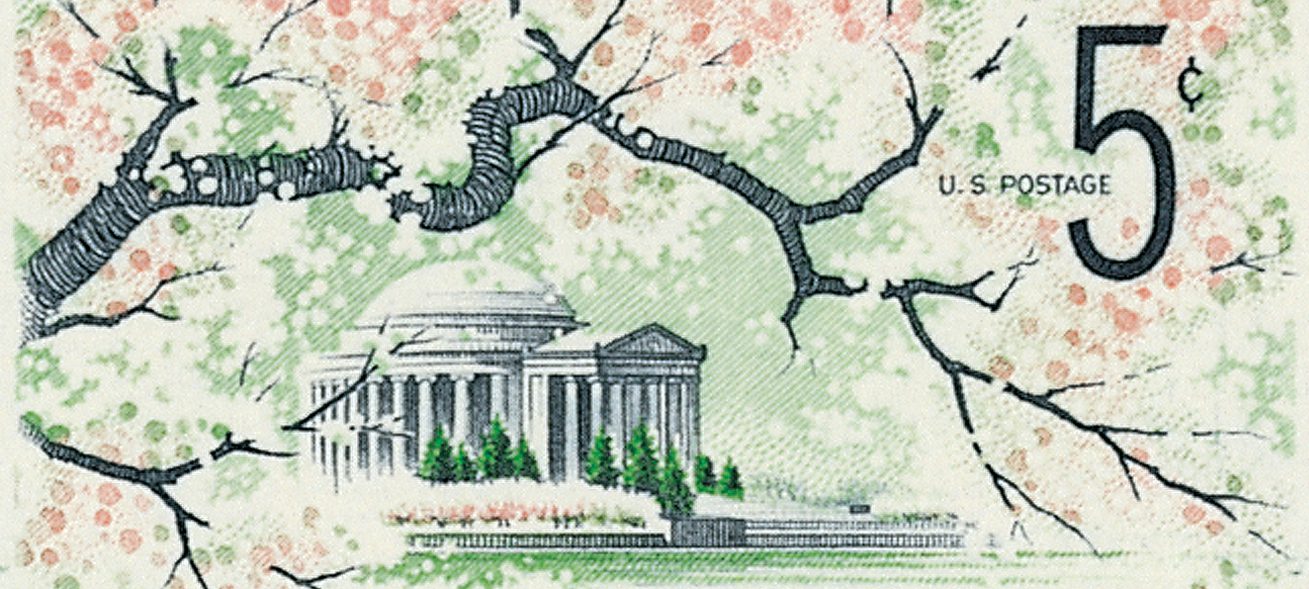 Cherry Trees