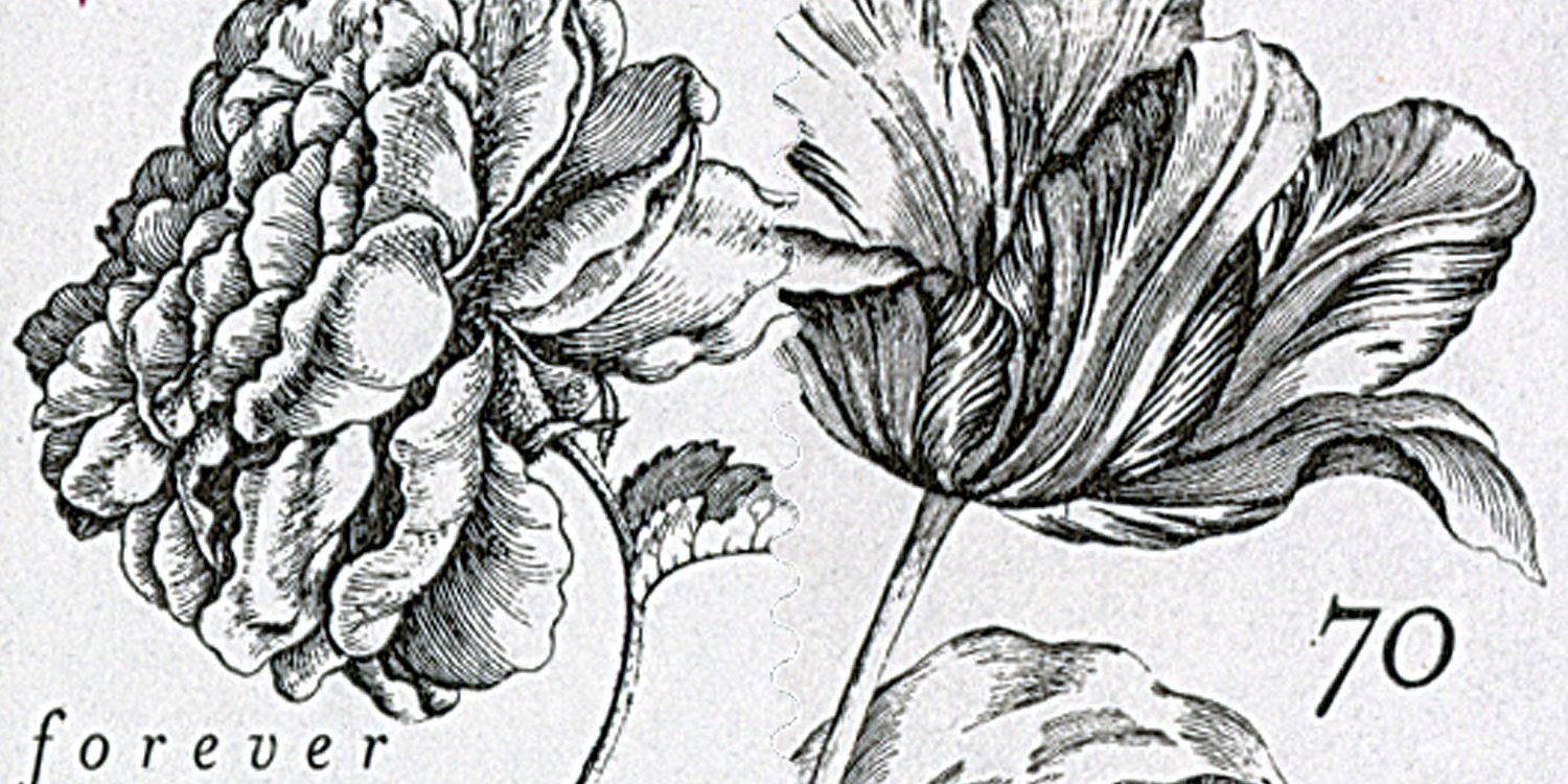 Vintage Rose and Tulip
