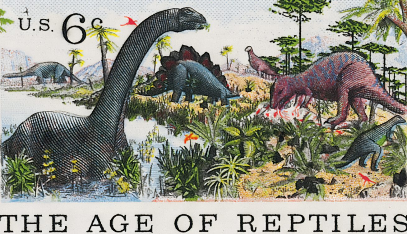 The American Museum of Natural History