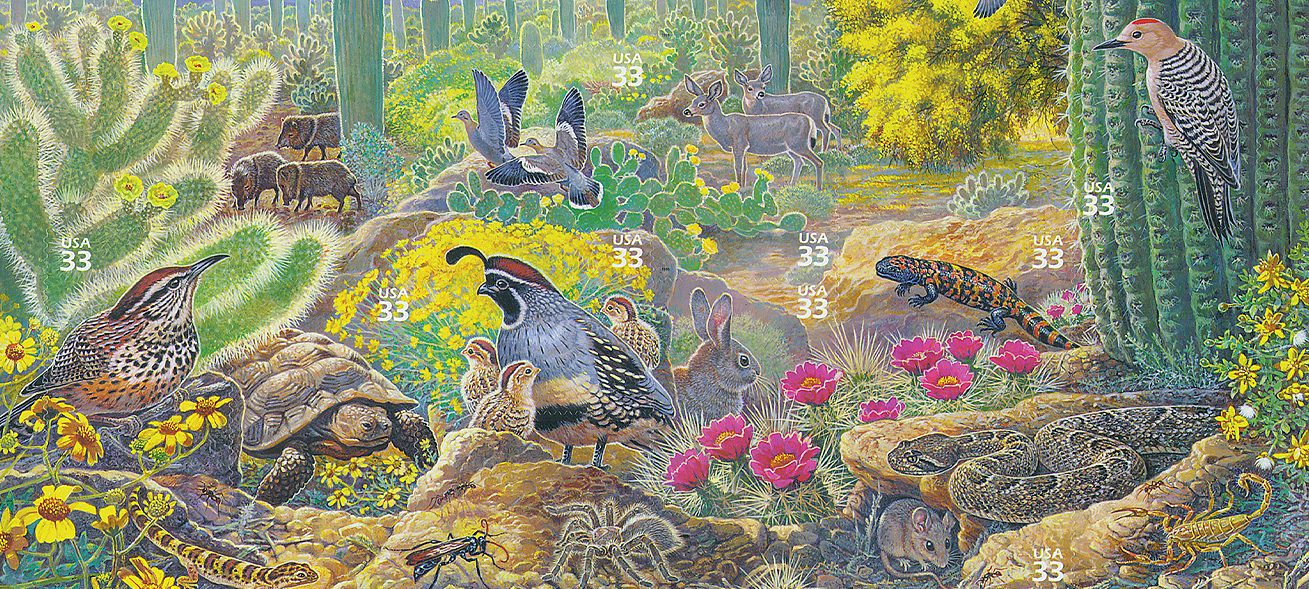 Nature of America
