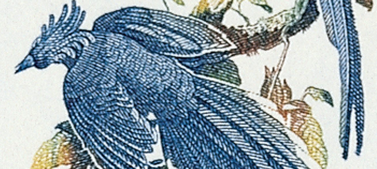 Audubon