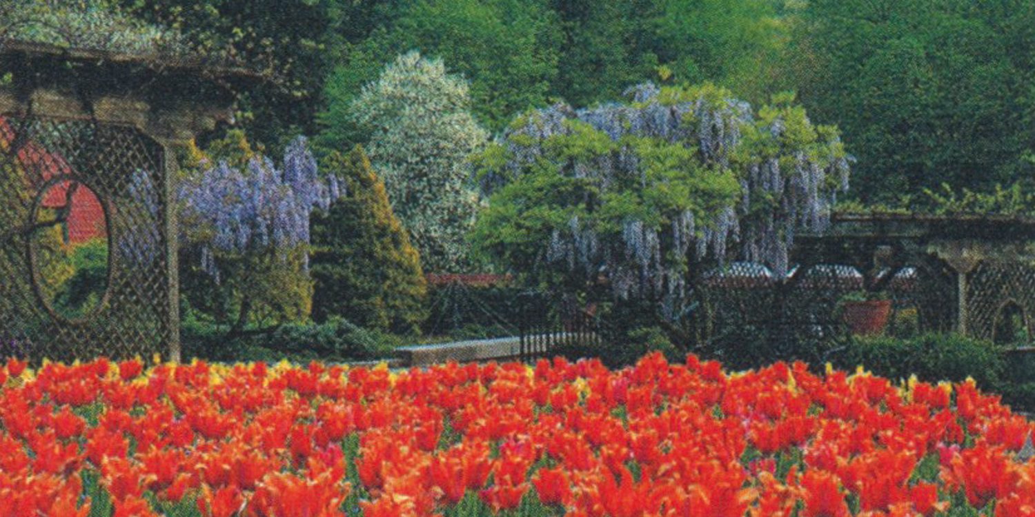 Biltmore Gardens