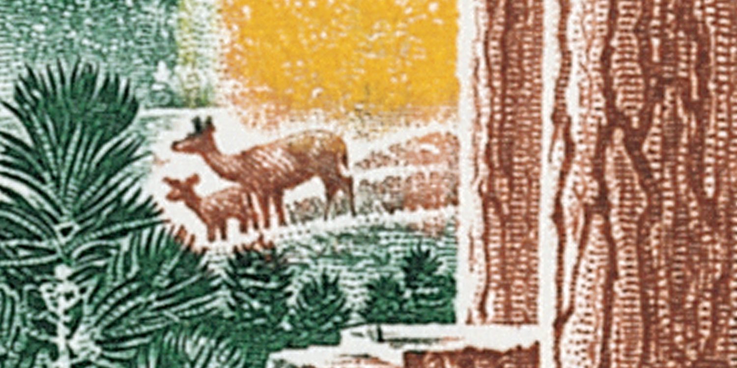 Forest Conservation
