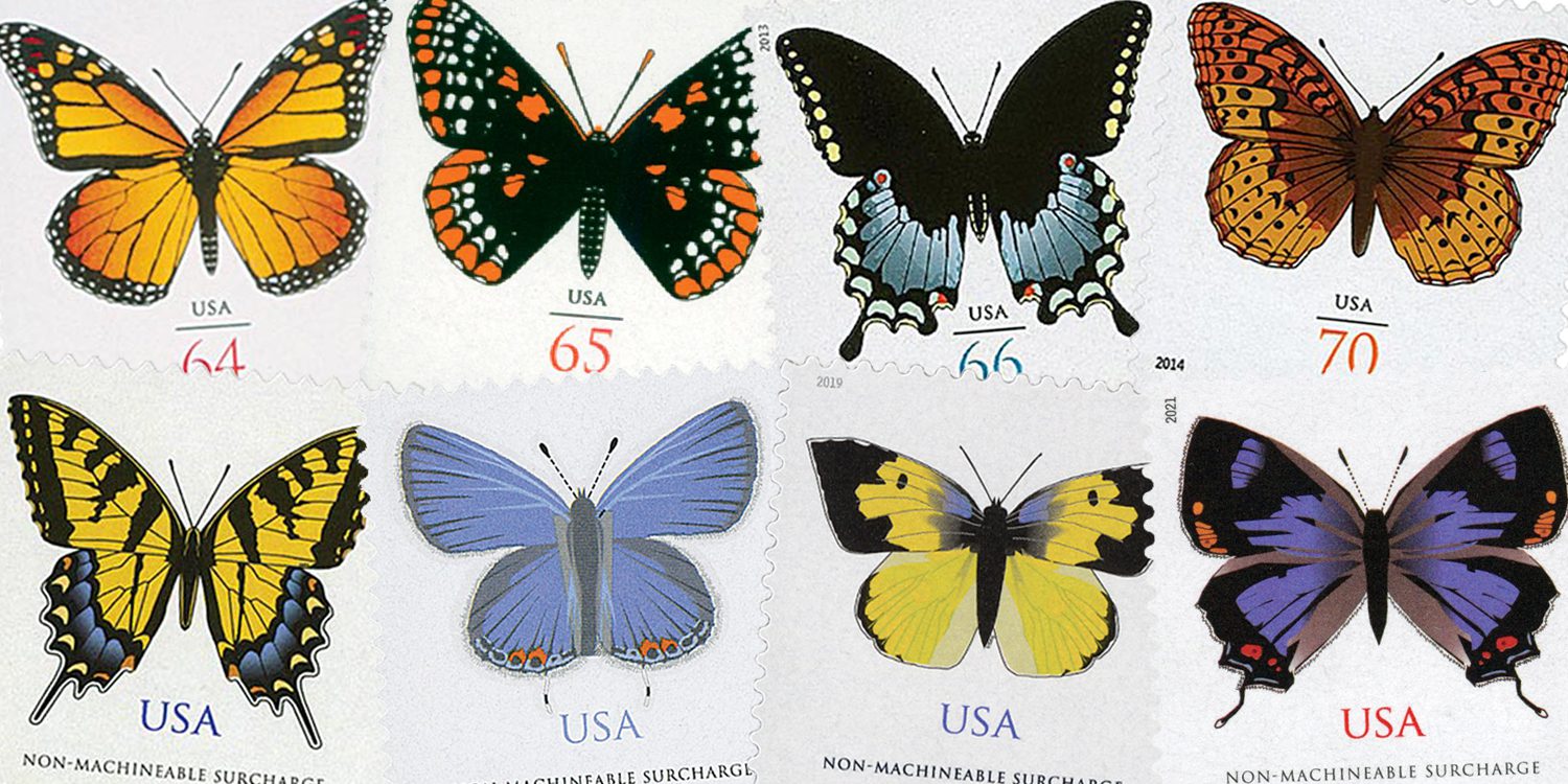 Butterfly series