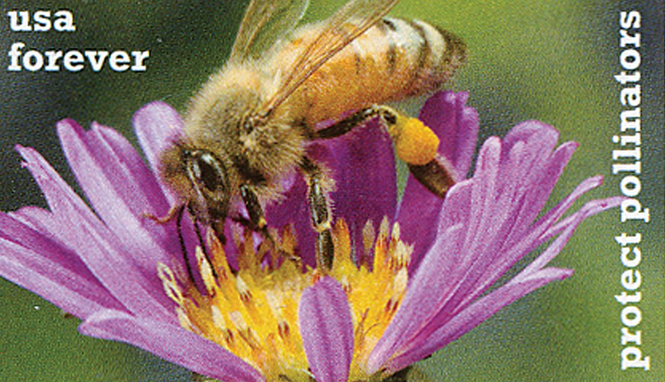 World Bee Day