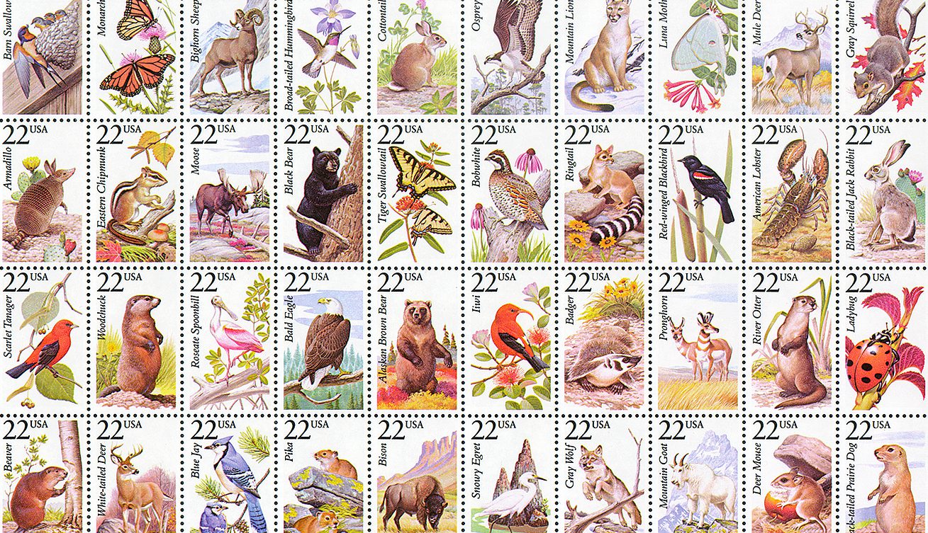 Wildlife Sheet
