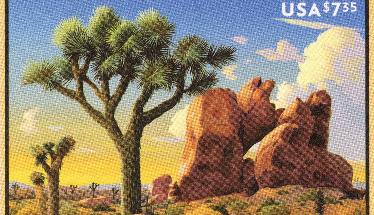 Joshua Tree