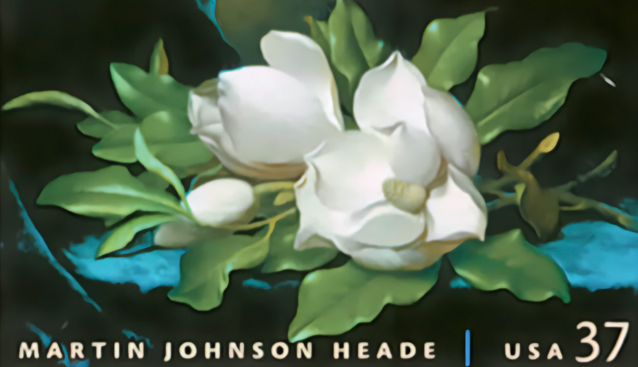 Martin Heade