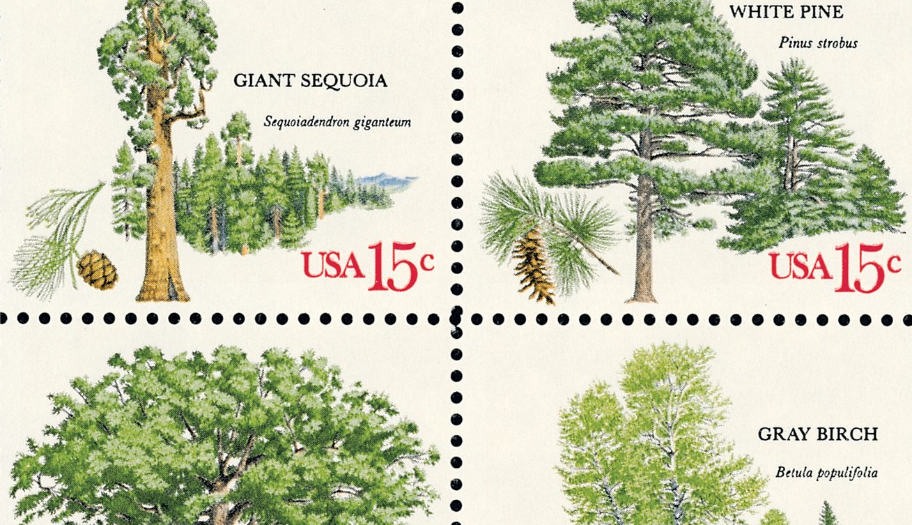 American Forests