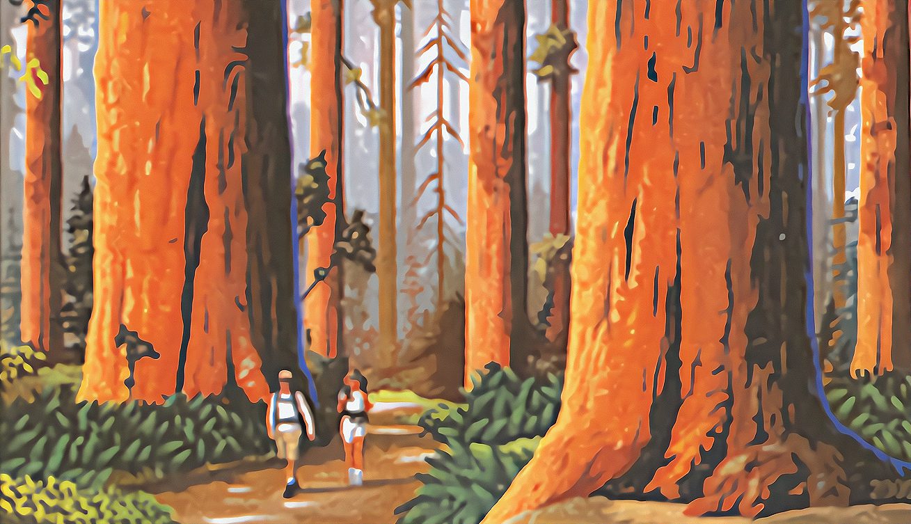 Redwood National Park Established