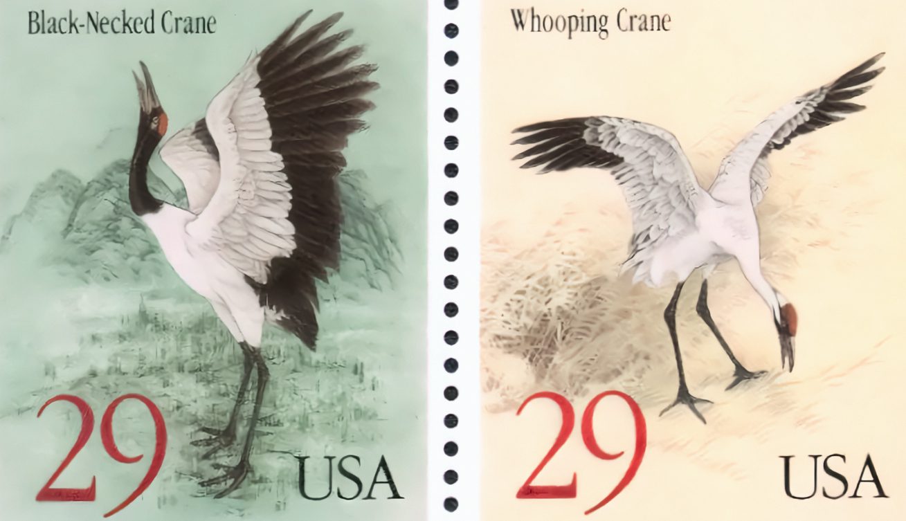 US-China Joint Issue