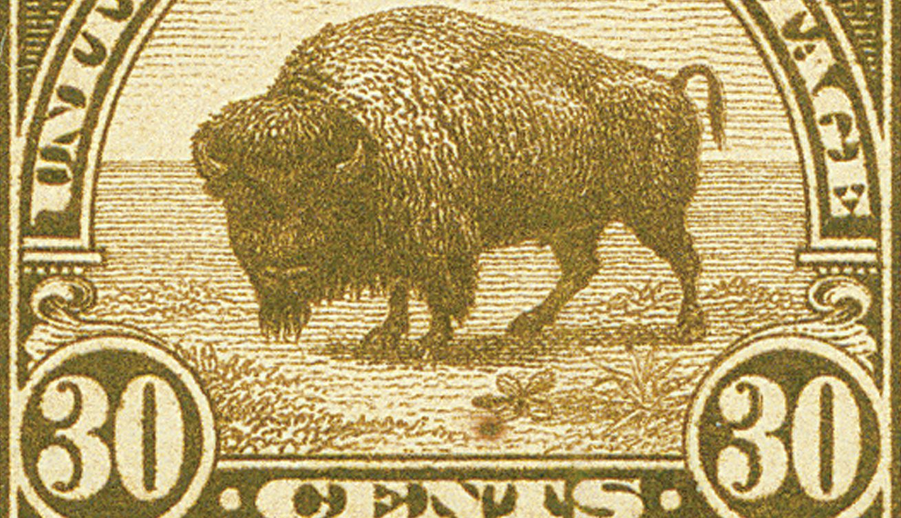 Bison Day