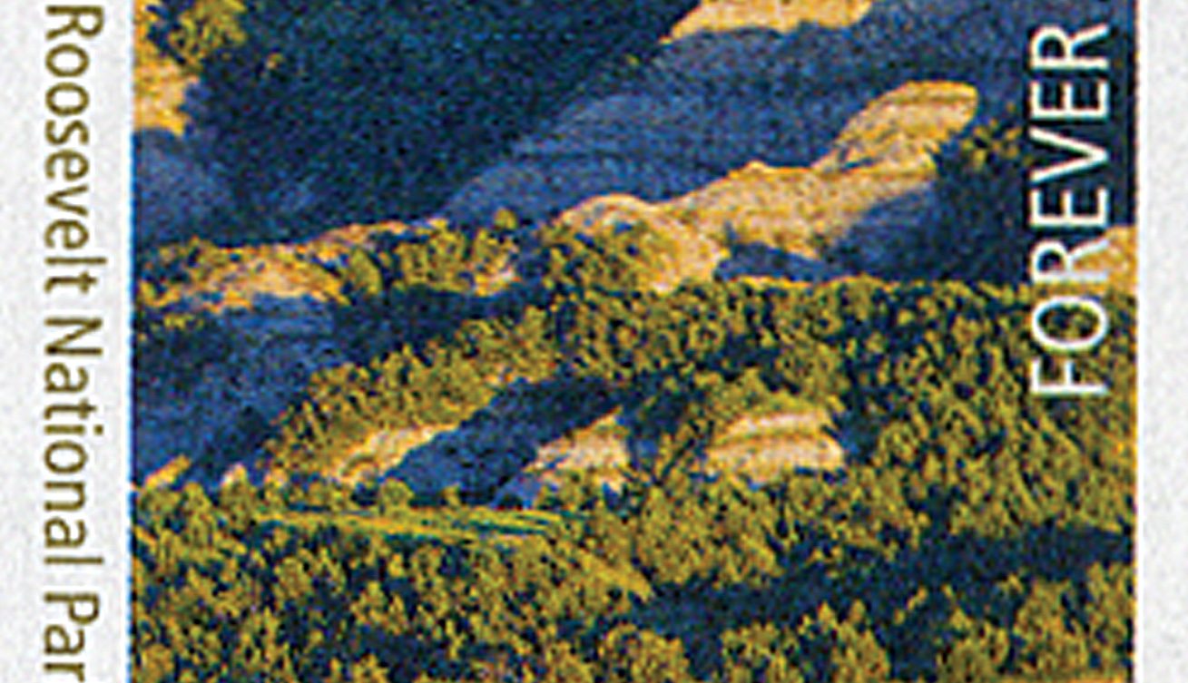Roosevelt NP