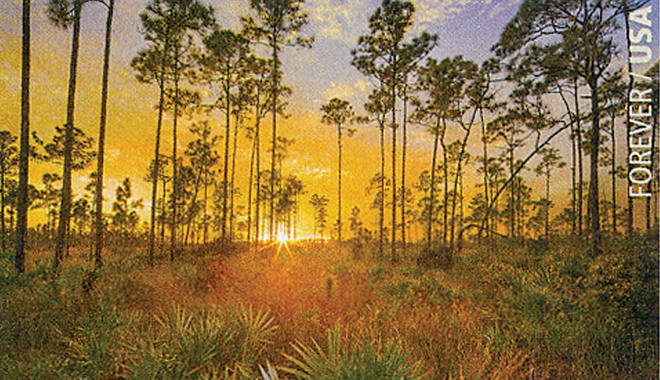 Everglades National Park