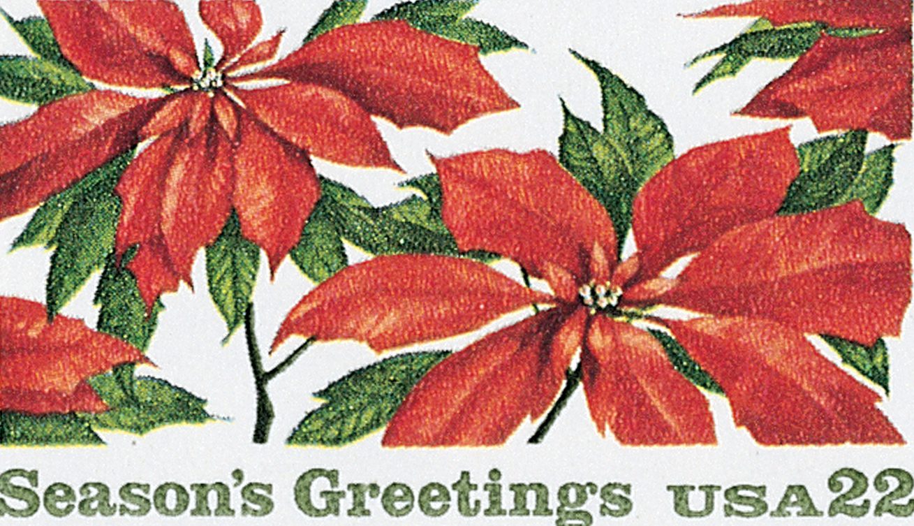 Poinsettias