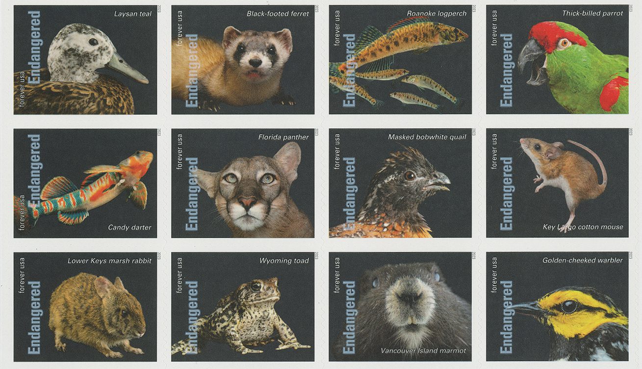 Endangered Species