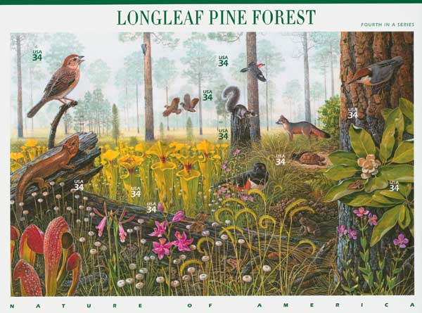 US #3611 Longleaf Pine Forest
