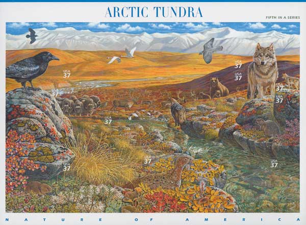 US #3802 Arctic Tundra