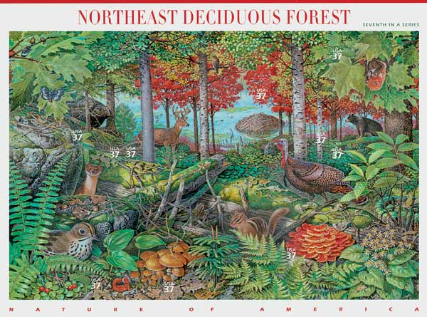 US #3899 Northeast Deciduous Forest
