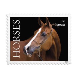 Monday June 17th five brand new US stamps honoring horses were issued by the USPS
