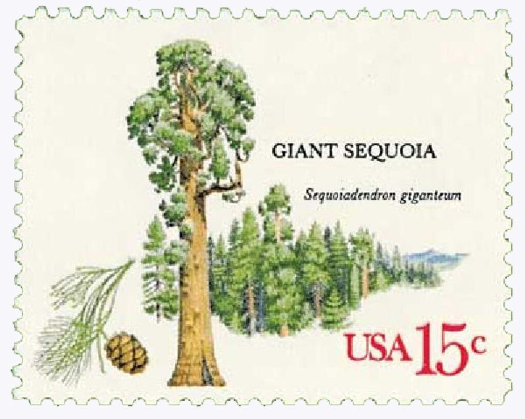 #1764 - 1978 15c American Trees: Giant Sequoia