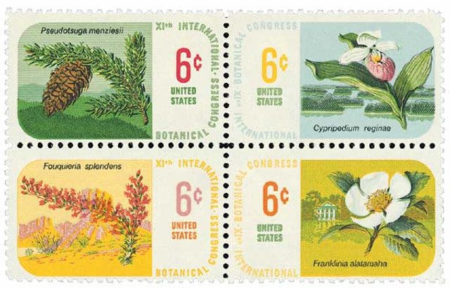 1969 6¢ Botanical Congress