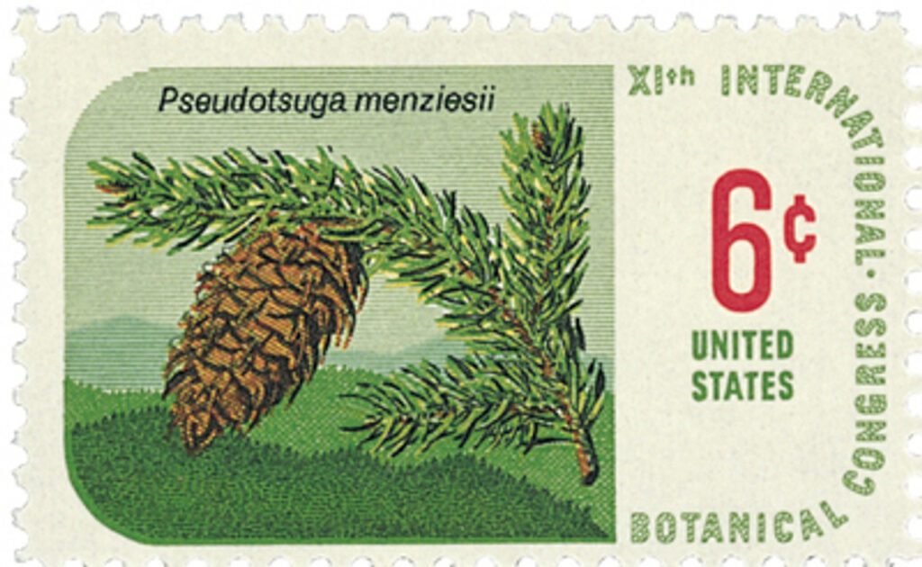 1969 6¢ Botanical Congress: Douglas Fir