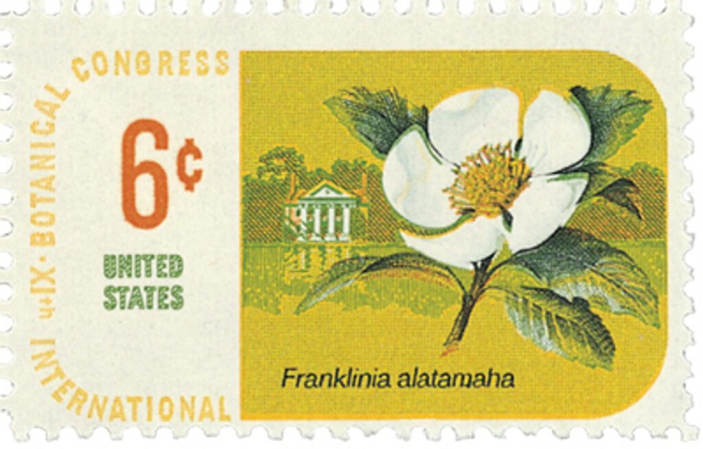 1969 6¢ Botanical Congress Franklin Tree