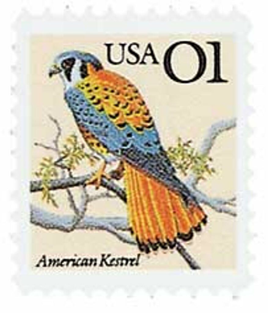 1991 1¢ American Kestrel