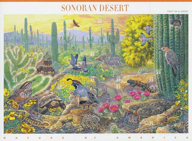 #3293 - 1999 33c Nature of America: Sonoran Desert Desert
