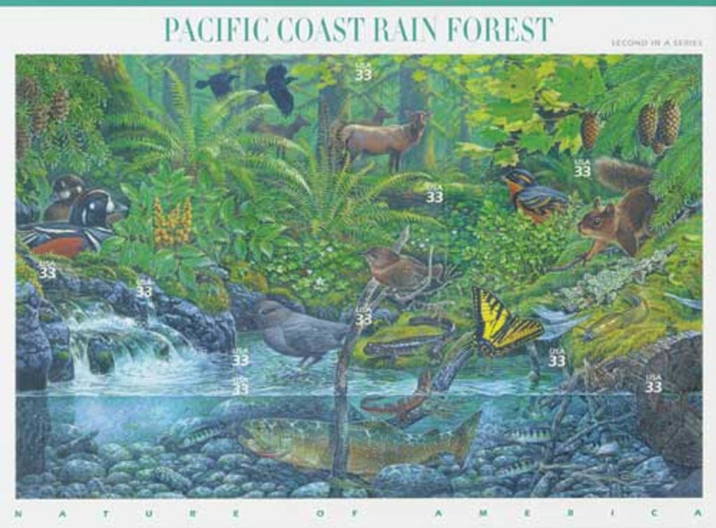 2000 33¢ Nature of America: Pacific Coast Rain Forest