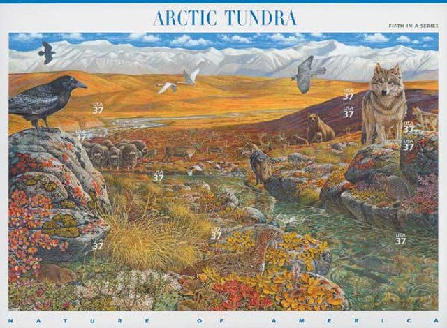 #3802 - 2003 37c Nature of America: Arctic Tundra