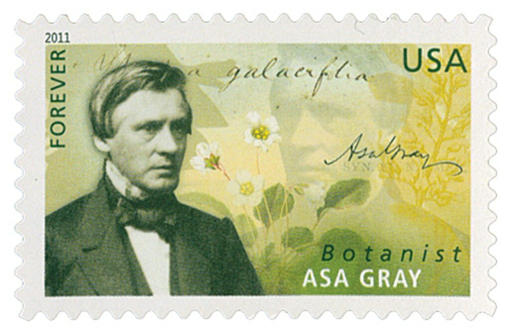 2011 44¢ Asa Gray