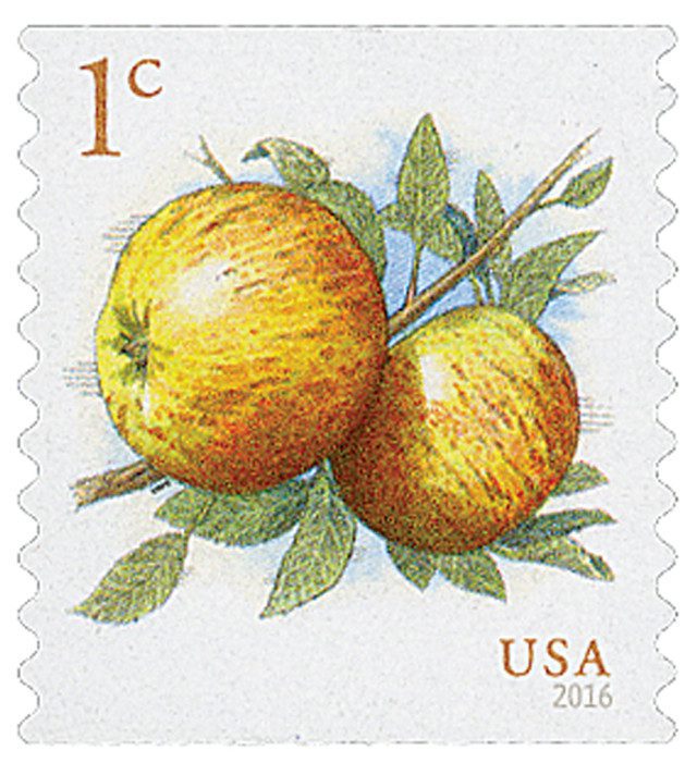 2016 1c Apples, coil