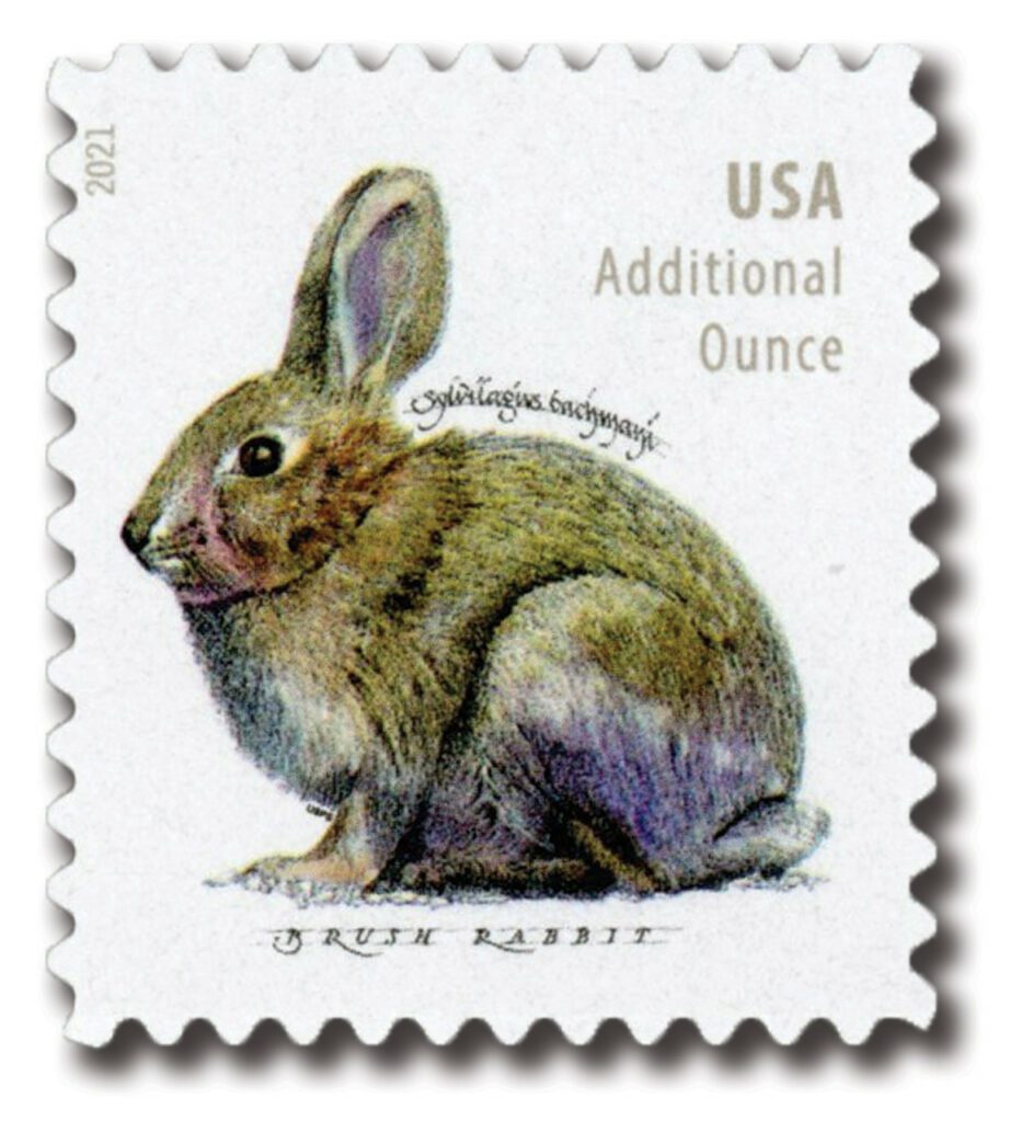 2021 20¢ Brush Rabbit (sheet stamp)