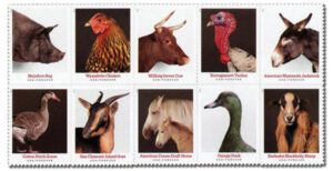 2021 55¢ Heritage Breeds stamps