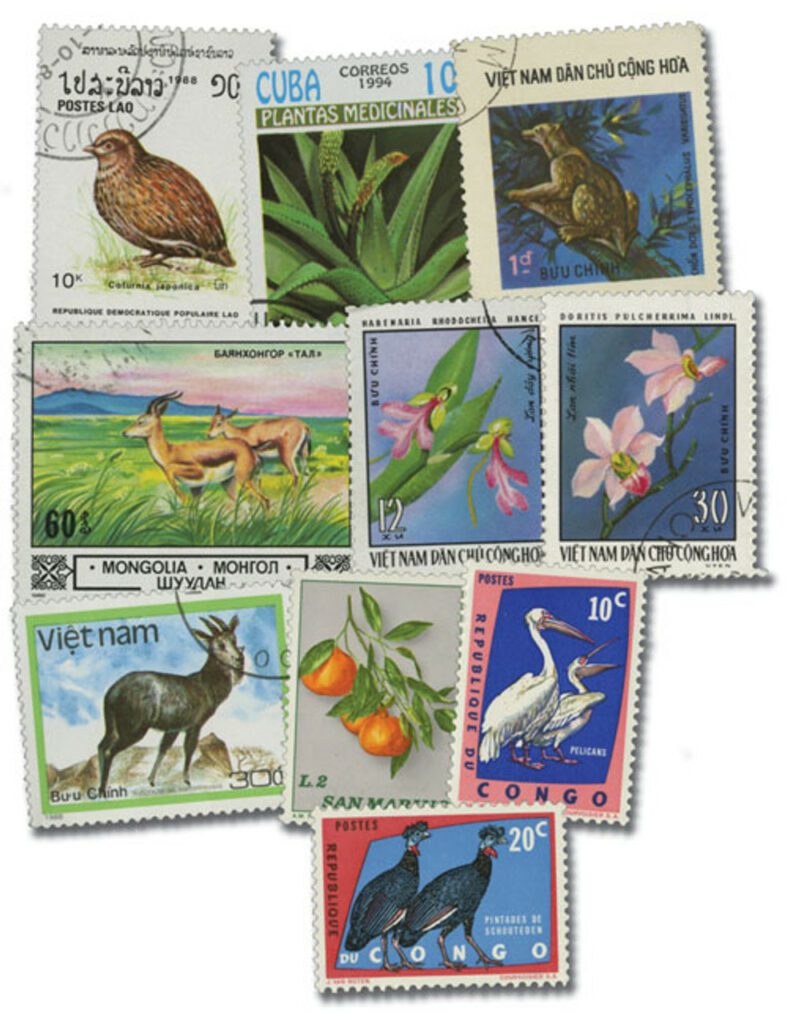 Flora & Fauna, 600v