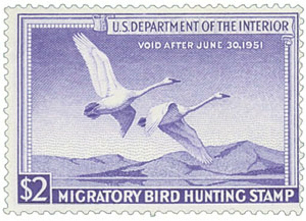 1950 $2.00 Federal Duck Stamp - Trumpeter Swans