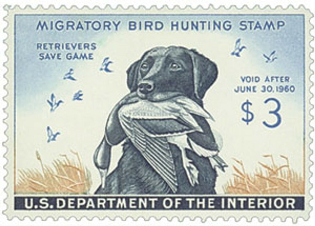 1959 $3.00 Federal Duck Stamp - Dog & Mallard