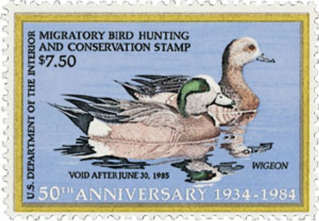 1984 $7.50 Federal Duck Stamp - Wigeon