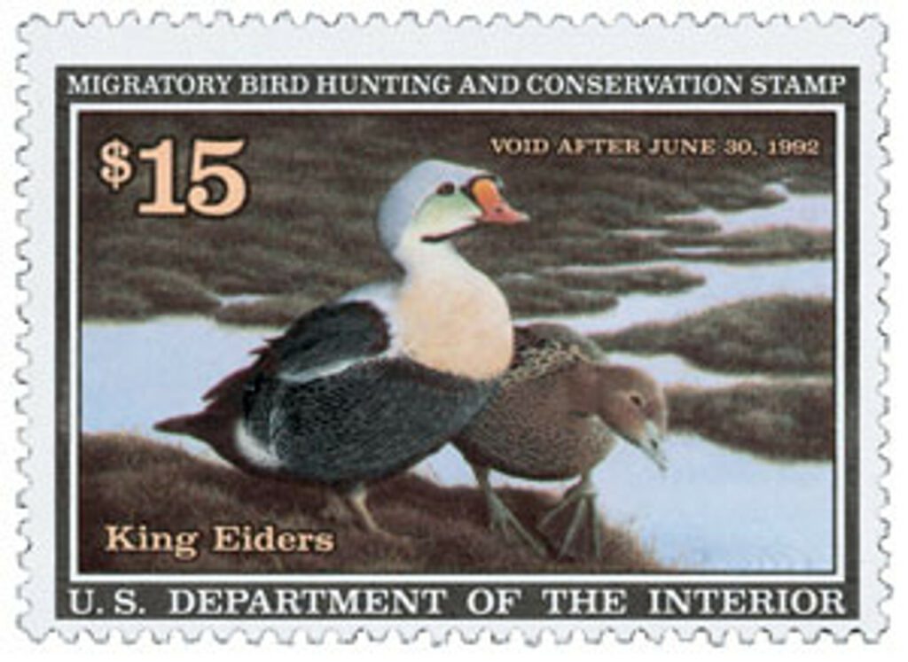 1991 $15.00 Federal Duck Stamp - King Eiders