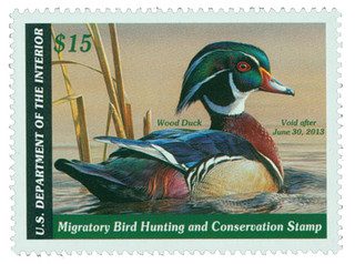 2012 $15 Wood Duck