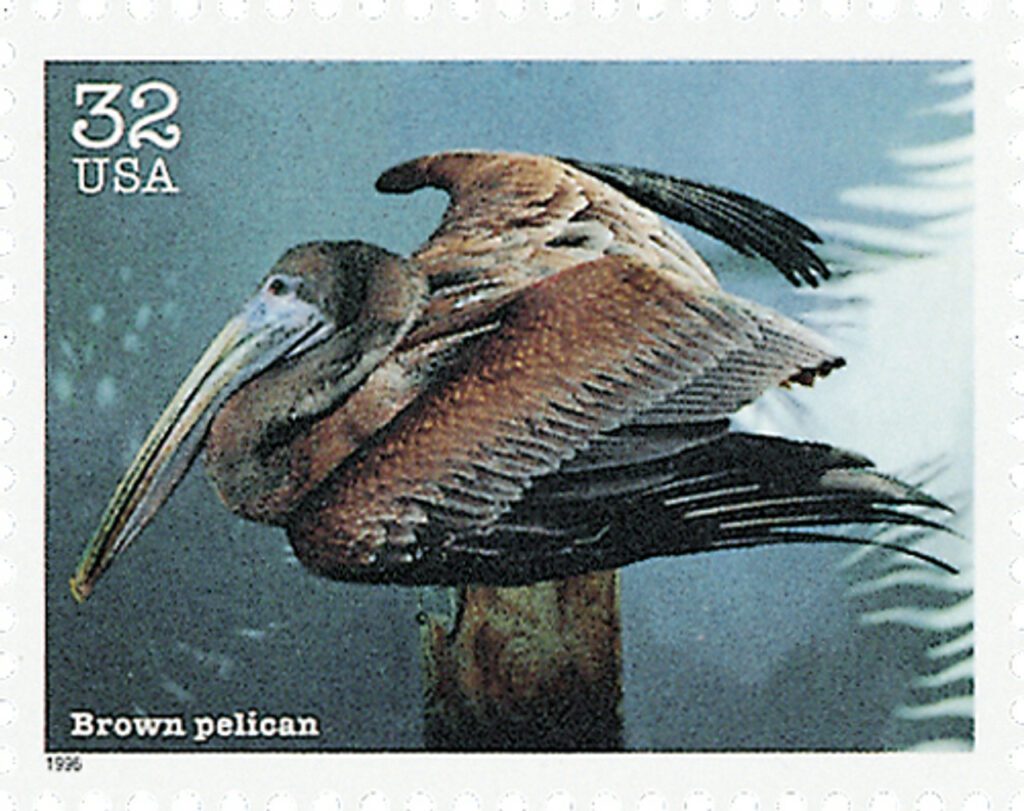 3105h - 1996 32c Endangered Species: Brown Pelican