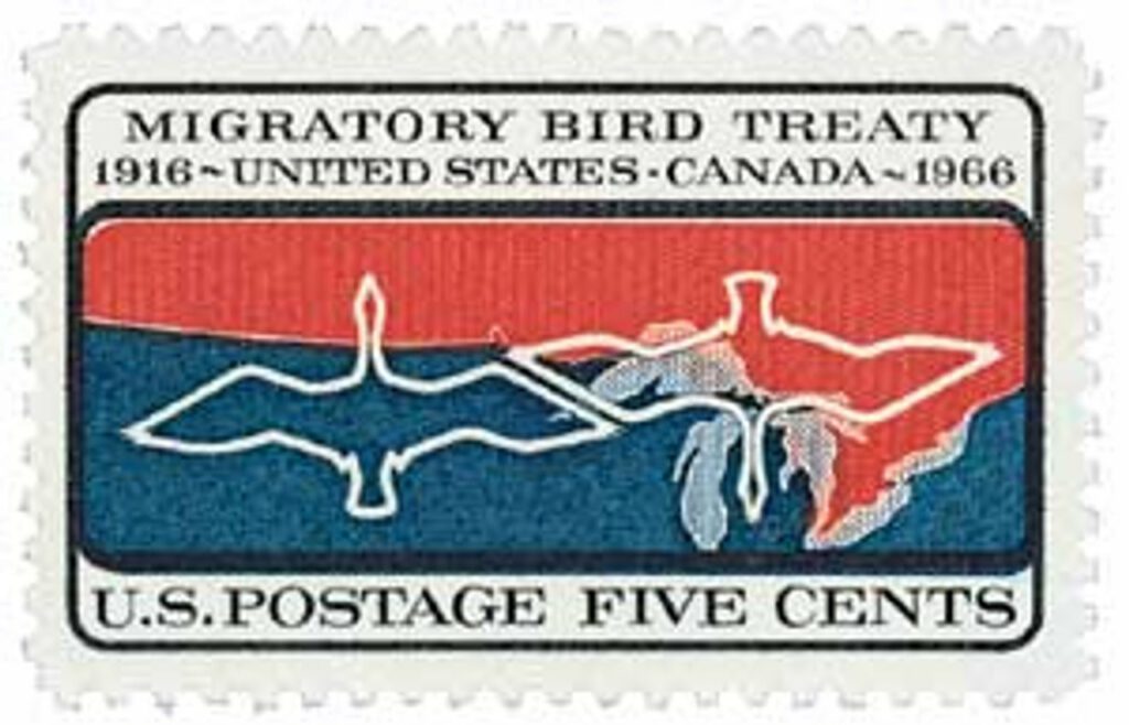 1306 - 1966 5c Migratory Bird Treaty