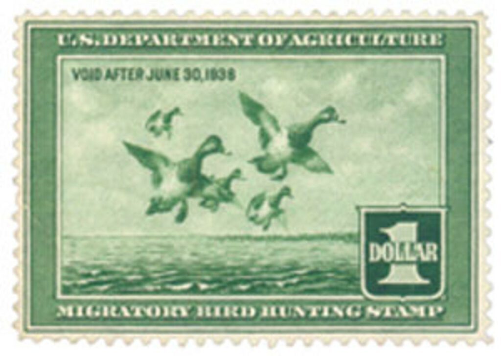 RW4 - 1937 $1.00 Federal Duck Stamp - Scaup Ducks