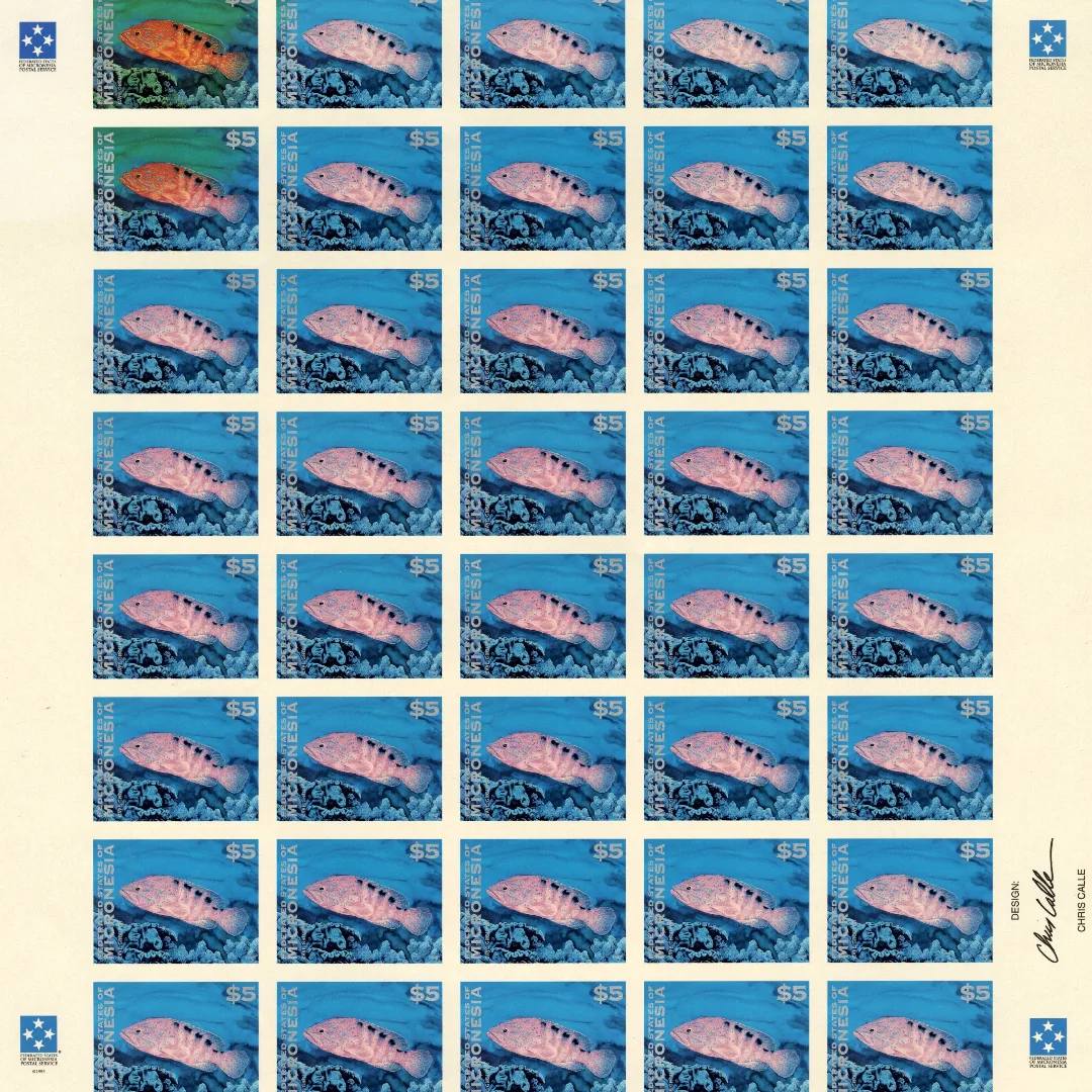 Oh No! Are Those Faded Fish Postage Stamps?!